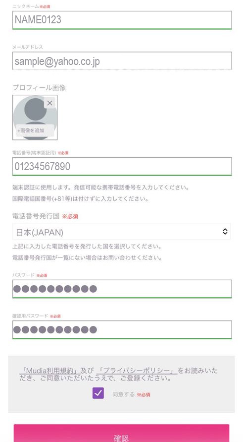 Enter required information on Mudia